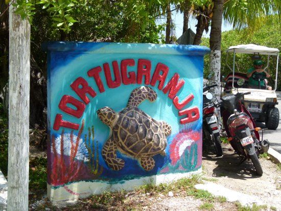 Soy Cancún